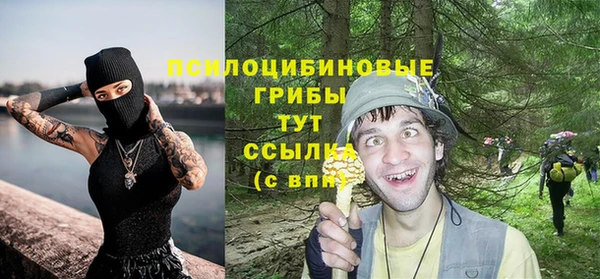 хмурый Белоозёрский