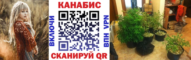 блэк спрут сайт  где найти   Ачхой-Мартан  Канабис гибрид 